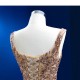 A Line Champagne Evening Dresses Appliques Sleeveless Formal Party Gowns Women Princess Dress