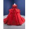 Ball Gown Red Quinceanera Dresses Long Sleeve Princess Prom Dresses Sweet 16 Dresses Vestidos De 15 Anos