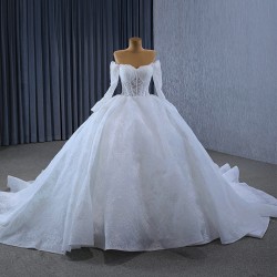 Ball Gown Wedding Dress Long Sleeves Lace Appliques Elegant Backless Bridal Gowns Modern Vestidos De Noiva