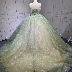 Green On Champagne Quince Dress Multi Vestidos De XV Anos 3D Butterfly Sweet 15 Gowns With Cape