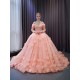 Long Sleeve Peach Color Quinceanera Dress Sweetheart Neck Vestidos De 15 Anos With 3D Flowers