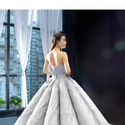 New Silver Evening Dress Elegant Lace Appliques Long Prom Gown Sleeveless vestidos de fiesta