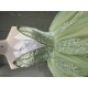 Sleeveless Sage Green Quince Dress Strapless Vestidos De XV Anos Lace Appliques Sweet 15 Gowns