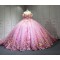 2025 Pink Floral Quinceanera Dresses Colorful Flowers Princess Burthday Gown Sweet 16 15 Birthday Vestido De 15 Anos